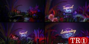 Tropical Party Opener 36113873