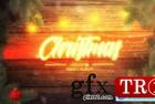     神奇圣诞幻灯片 Magic Christmas Slideshow 25335525
