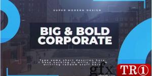 Big & Bold Corporate 23338385