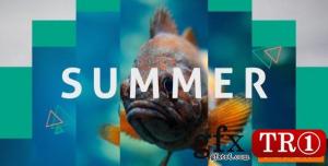 夏日动感图文幻灯片Summer Dynamic Opener 20394255