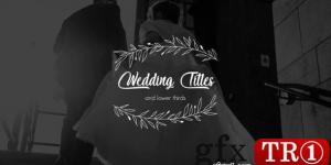婚礼标题字幕条 Wedding Titles and Lower Thirds 26068780