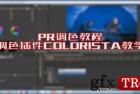     PR调色教程红巨星调色插件COLORISTA教学明暗对比冷暖色调对比
