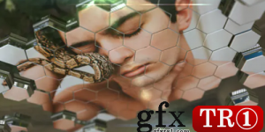 蜂窝幻灯片 Honeycomb Slideshow 18709757